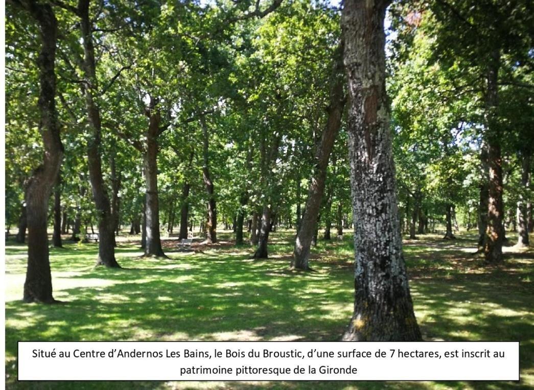 Le Magellan Appartement Terrasse 4 Personnes Plage Et Centre Ville 安德诺莱斯贝恩 外观 照片